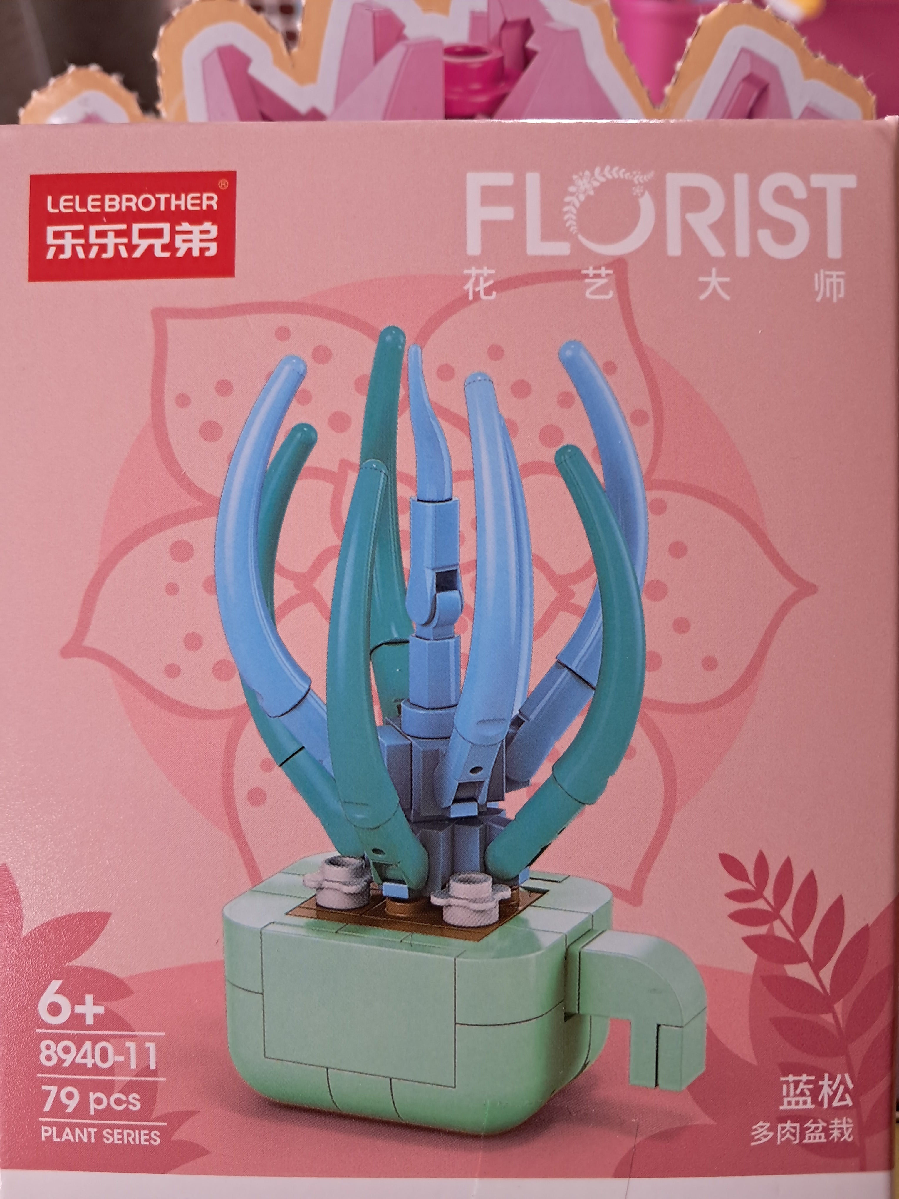 Mini plantes succulentes en MINI briques à construire P8940