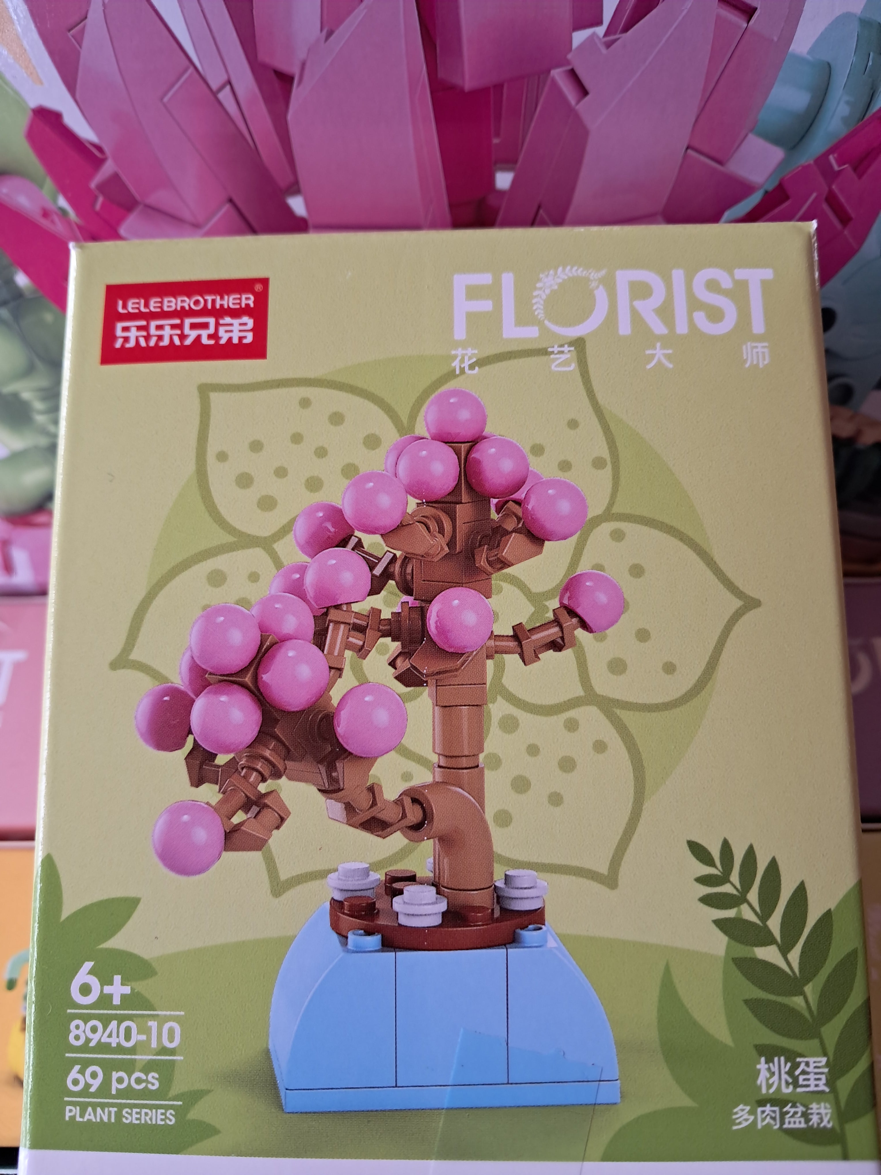 Mini plantes succulentes en MINI briques à construire P8940