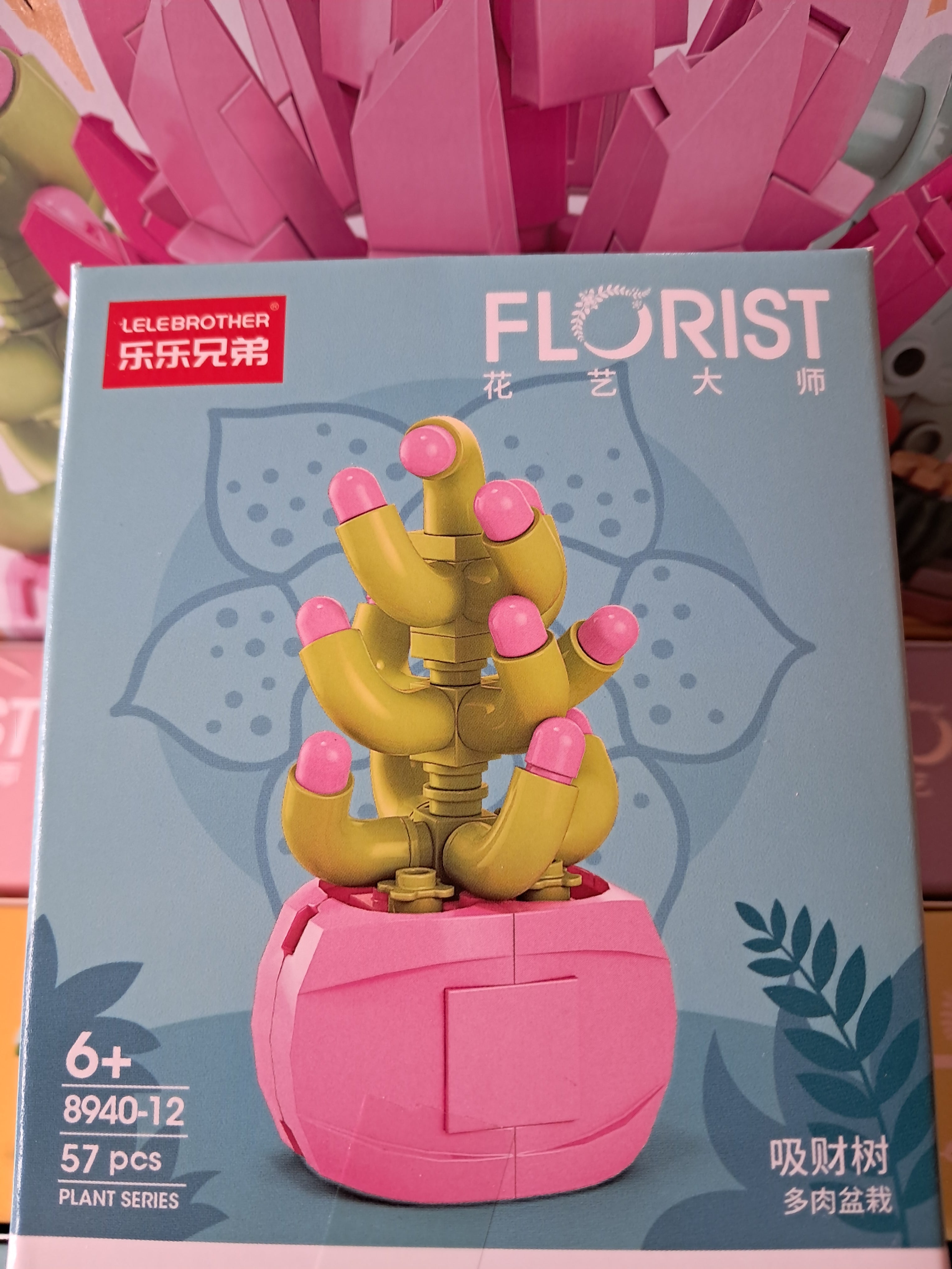 Mini plantes succulentes en MINI briques à construire P8940