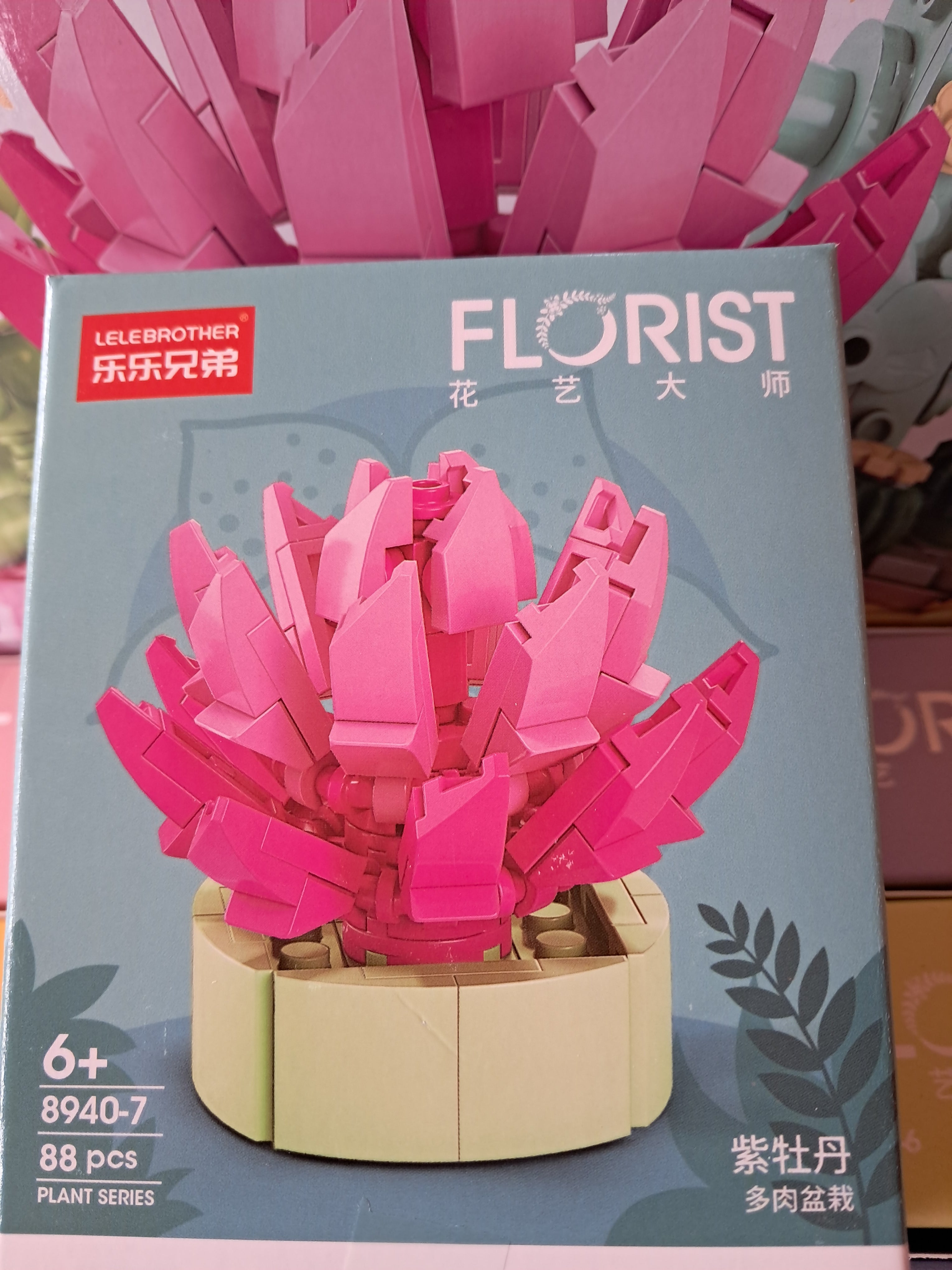 Mini plantes succulentes en MINI briques à construire P8940