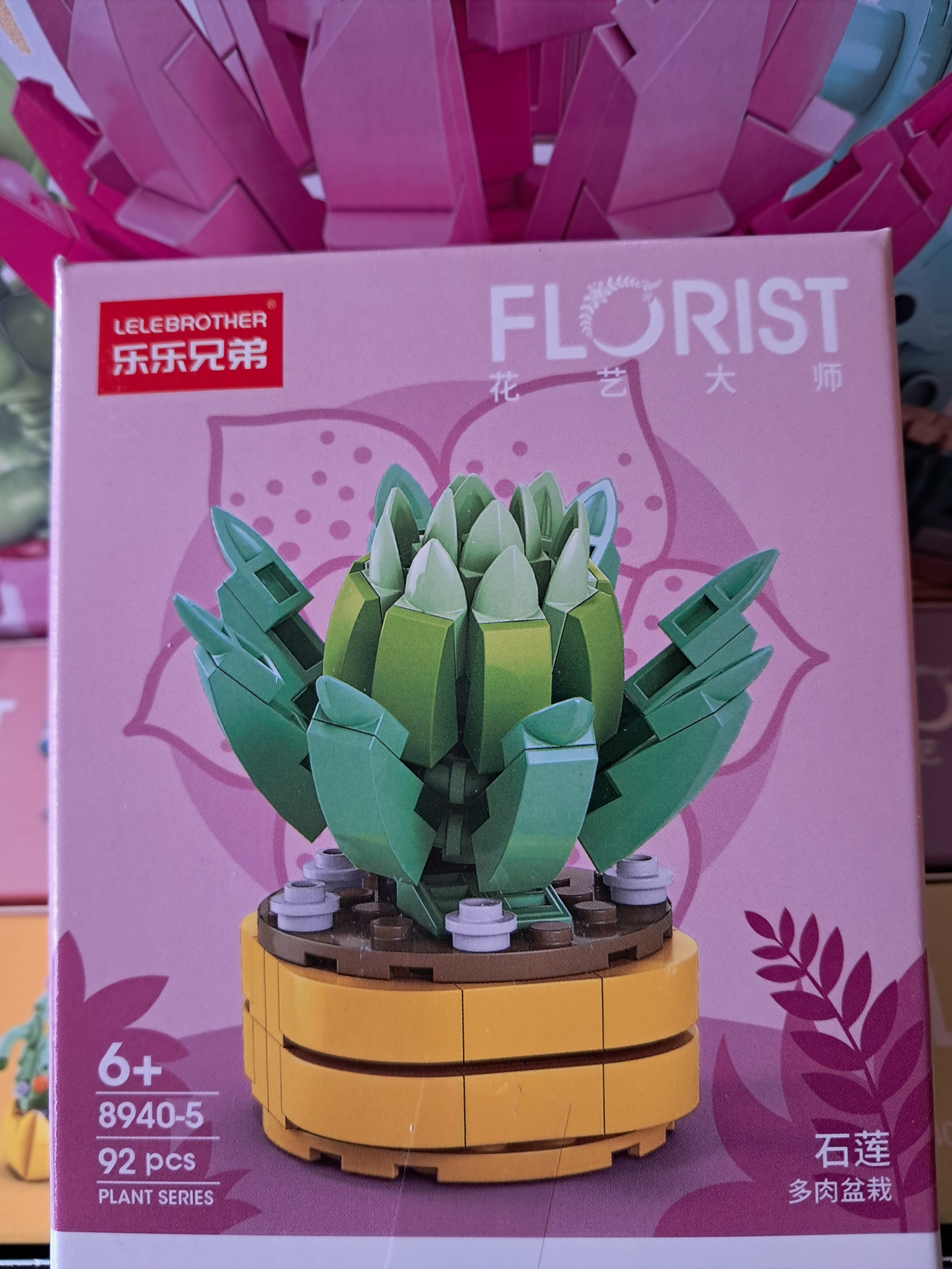 Mini plantes succulentes en MINI briques à construire P8940