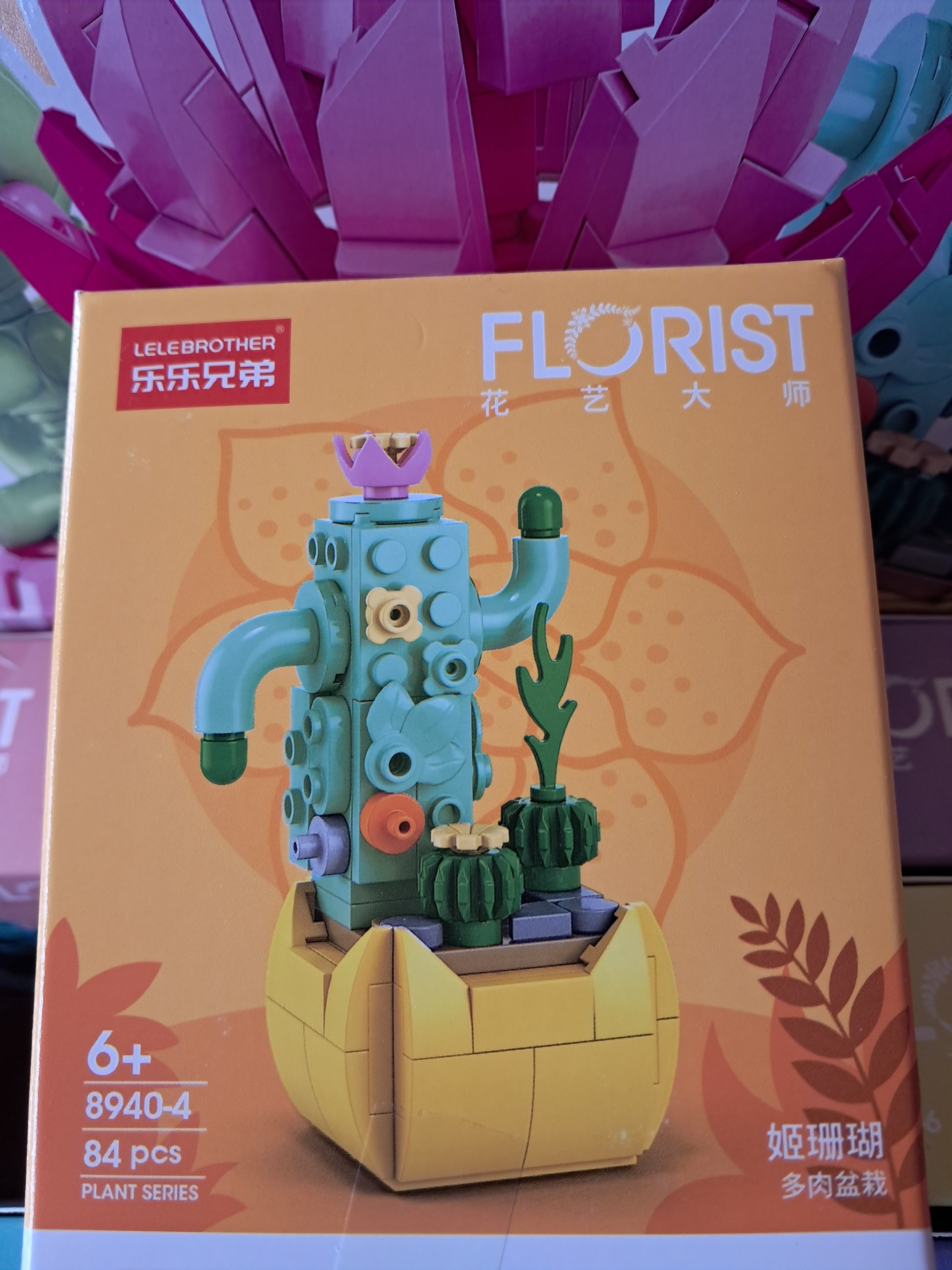 Mini plantes succulentes en MINI briques à construire P8940