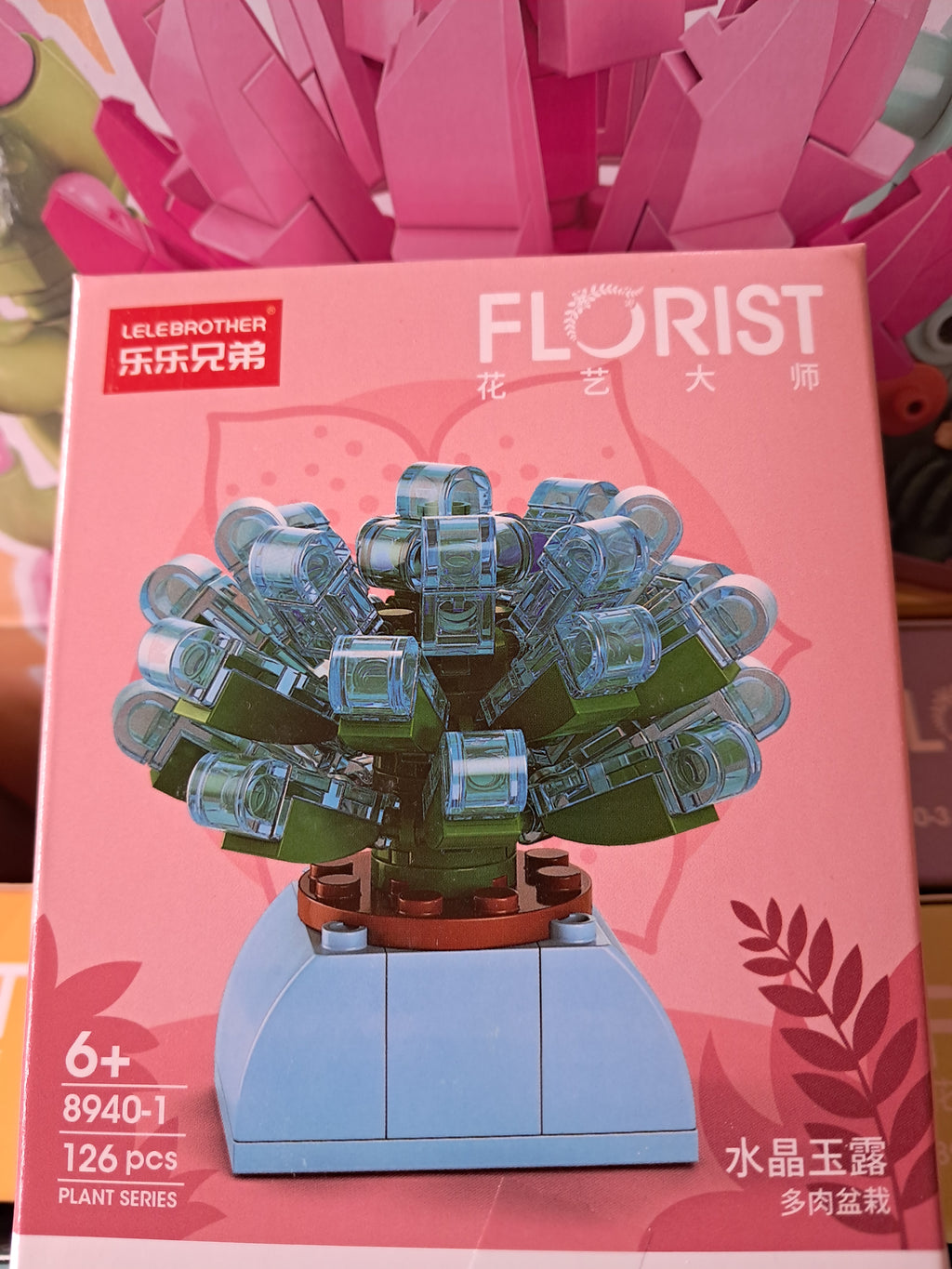 Mini plantes succulentes en MINI briques à construire P8940