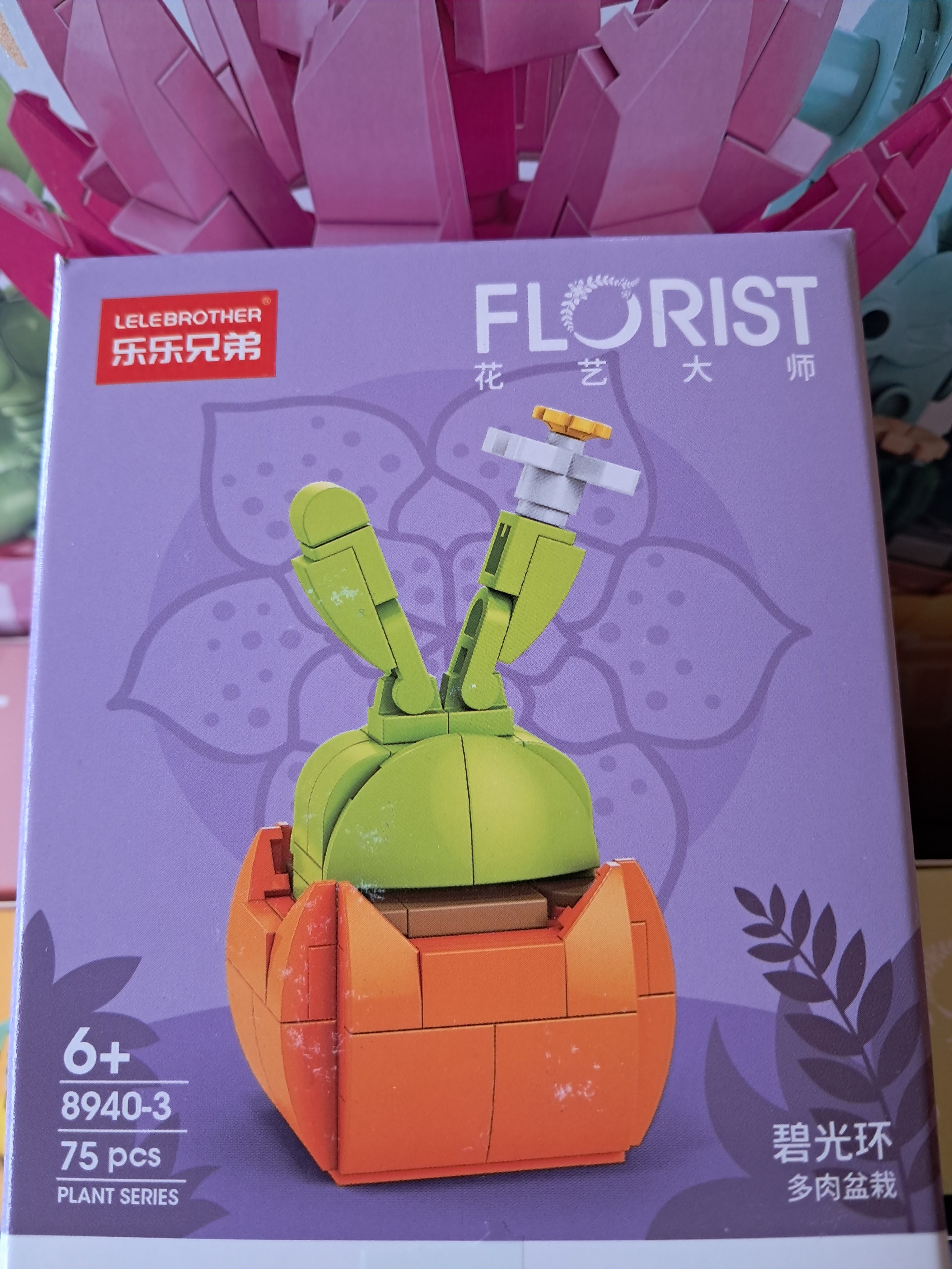 Mini plantes succulentes en MINI briques à construire P8940