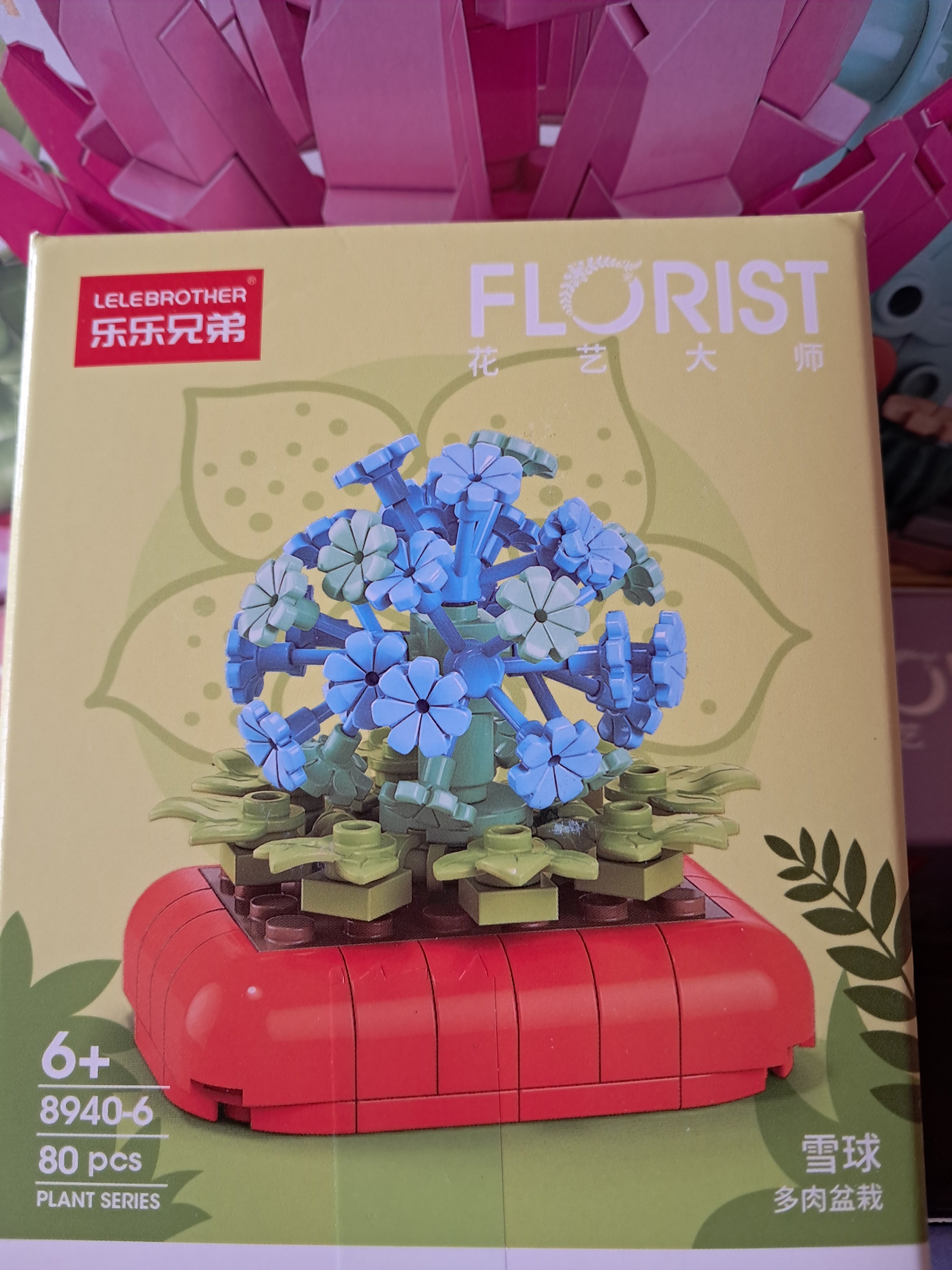 Mini plantes succulentes en MINI briques à construire P8940