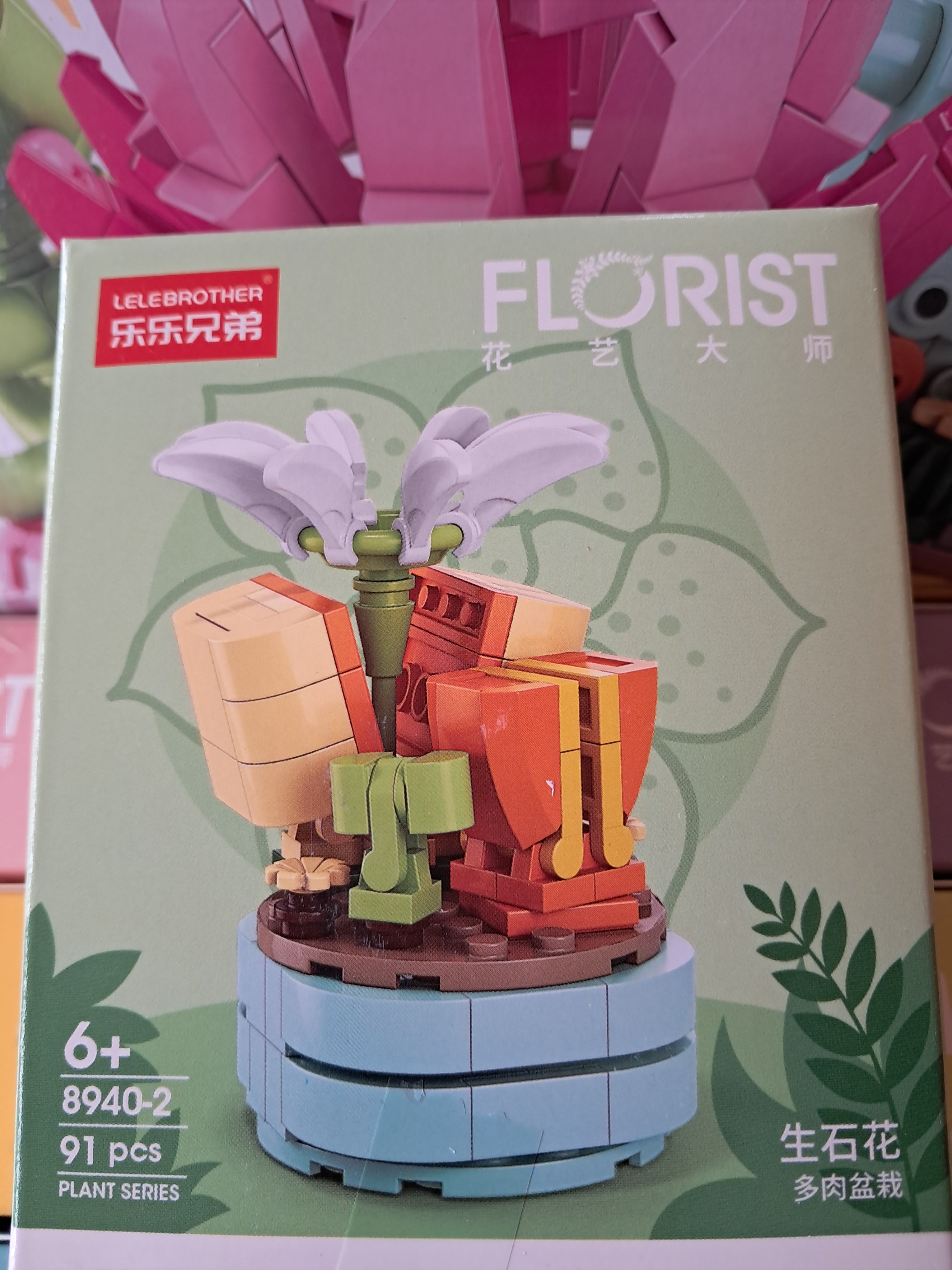 Mini plantes succulentes en MINI briques à construire P8940