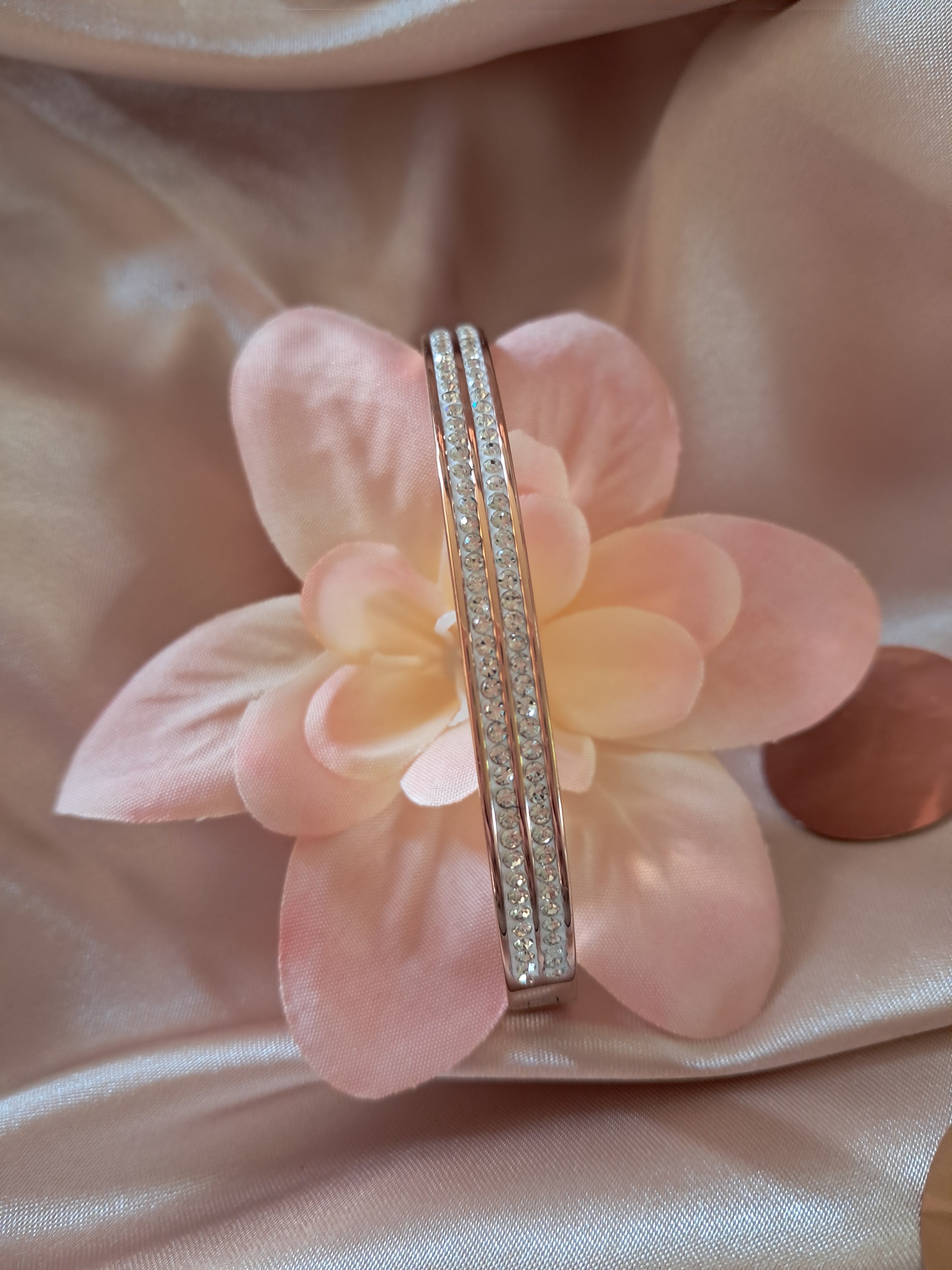 Bracelet en acier titane , double incrustation de zircon