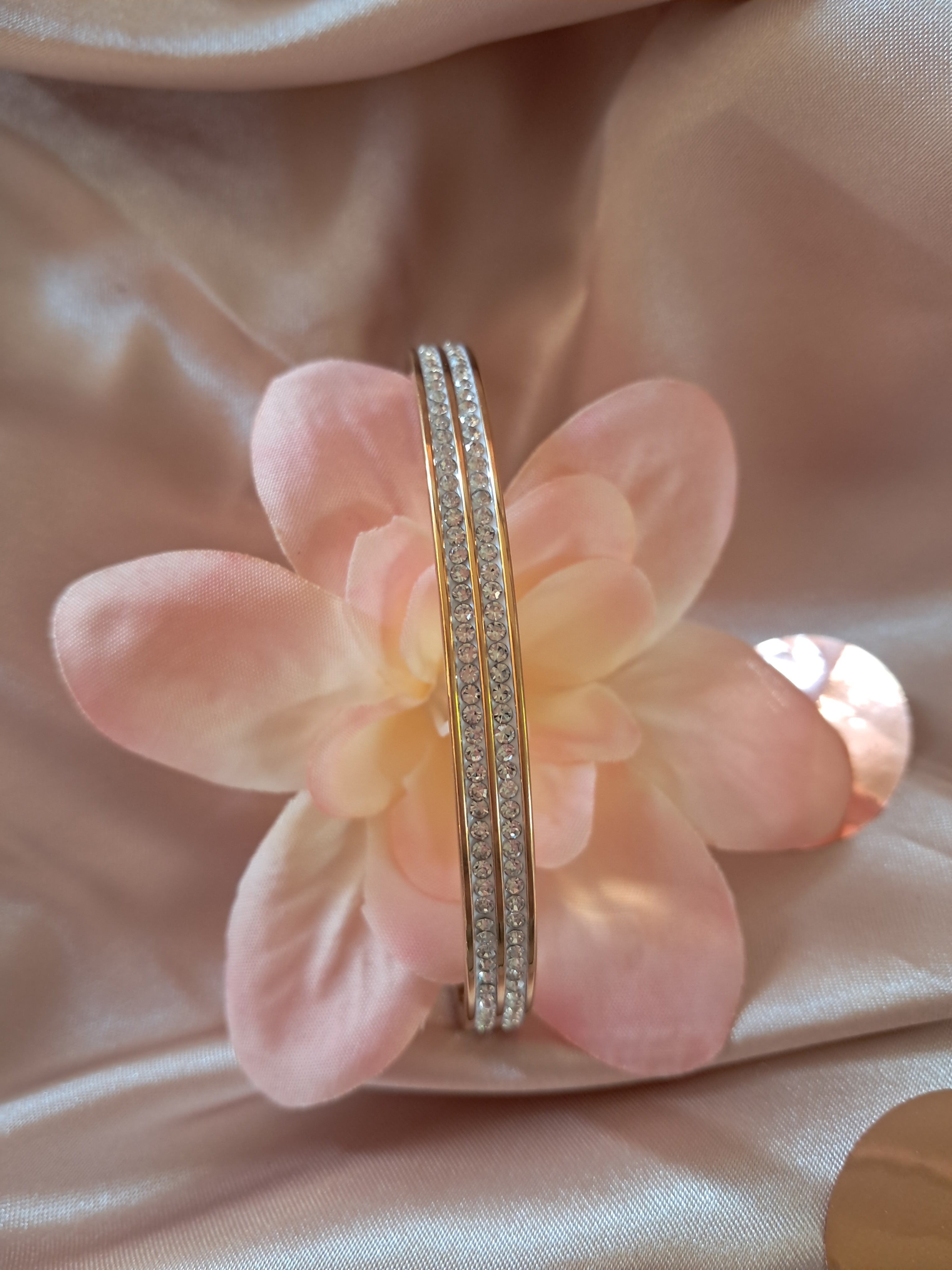 Bracelet en acier titane , double incrustation de zircon