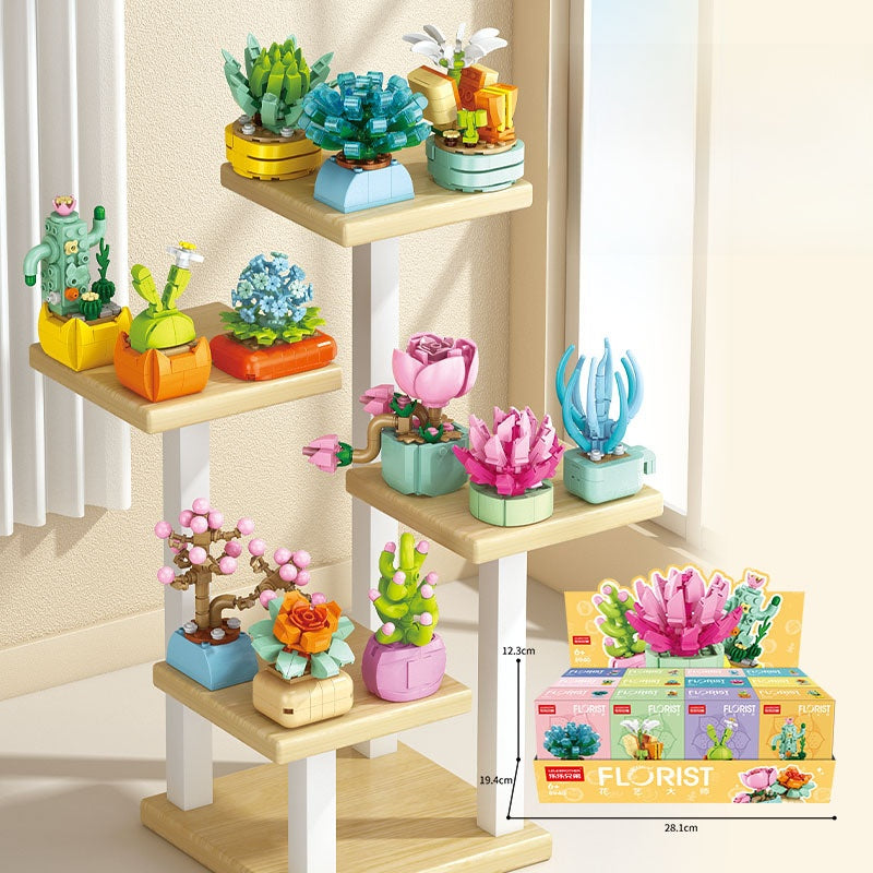 Mini plantes succulentes en MINI briques à construire P8940